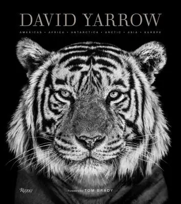 Fotografía de David Yarrow: América África Antártida Ártico Asia Europa - David Yarrow Photography: Americas Africa Antarctica Arctic Asia Europe