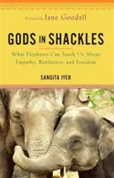 Dioses con grilletes: lo que los elefantes pueden enseñarnos sobre empatía, resistencia y libertad - Gods in Shackles - What Elephants Can Teach Us About Empathy, Resilience and Freedom