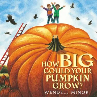 ¿Cuánto puede crecer tu calabaza? - How Big Could Your Pumpkin Grow?