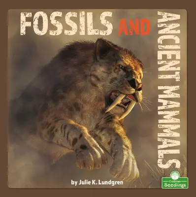 Fósiles y mamíferos antiguos - Fossils and Ancient Mammals