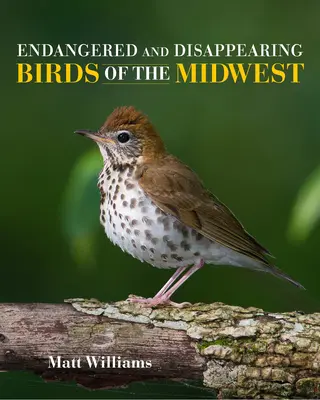 Aves del Medio Oeste en peligro de extinción y en vías de desaparición - Endangered and Disappearing Birds of the Midwest