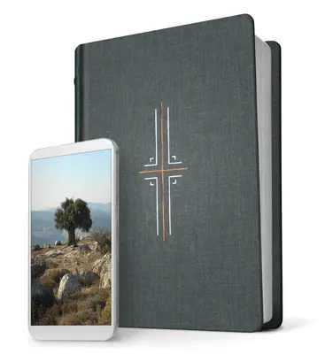 Filament Bible NLT (Tapa dura de tela, gris, indexada): La Biblia impresa+digital - Filament Bible NLT (Hardcover Cloth, Gray, Indexed): The Print+digital Bible