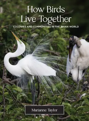 Cómo conviven las aves: Colonias y comunidades en el mundo de las aves - How Birds Live Together: Colonies and Communities in the Avian World