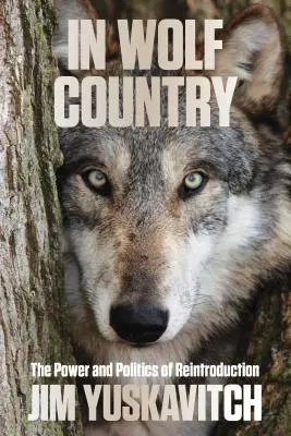 En tierra de lobos: El poder y la política de la reintroducción - In Wolf Country: The Power and Politics of Reintroduction