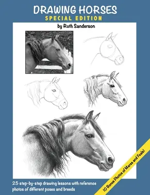 Dibujando Caballos: Edición especial - Drawing Horses: Special Edition