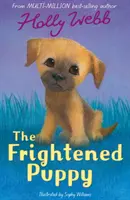 Cachorro asustado - Frightened Puppy