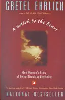 A Match to the Heart: La historia de una mujer alcanzada por un rayo - A Match to the Heart: One Woman's Story of Being Struck by Lightning