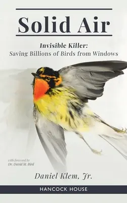 Solid Air: Invisible Killer- Salvar a los pájaros de las ventanas - Solid Air: Invisible Killer- Saving Birds from Windows