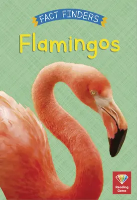 Flamencos - Flamingos