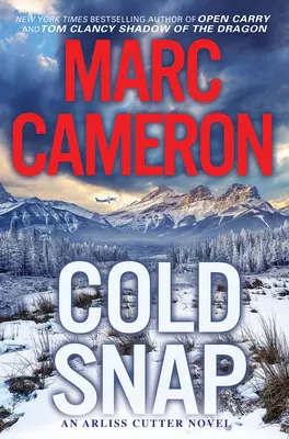 Cold Snap: Una novela de suspense llena de acción - Cold Snap: An Action Packed Novel of Suspense