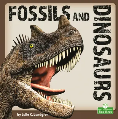 Fósiles y dinosaurios - Fossils and Dinosaurs