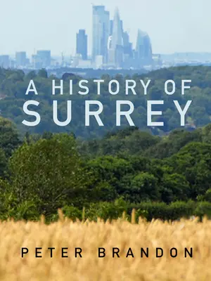 Historia de Surrey - A History of Surrey