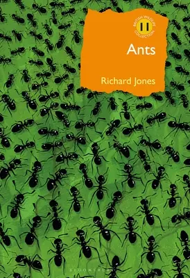 Las hormigas: Los insectos sociales por excelencia - Ants: The Ultimate Social Insects