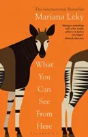 Lo que se ve desde aquí - El fenómeno superventas «cálido y curioso - What You Can See From Here - The 'warm and curious' bestselling phenomenon