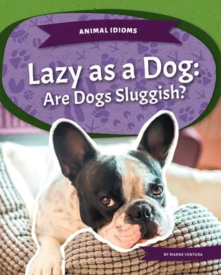 Perezoso como un perro: ¿Son perezosos los perros? - Lazy as a Dog: Are Dogs Sluggish?