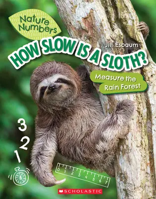 ¿Cuán lento es un perezoso? Medir la selva - How Slow Is a Sloth? (Nature Numbers): Measure the Rainforest