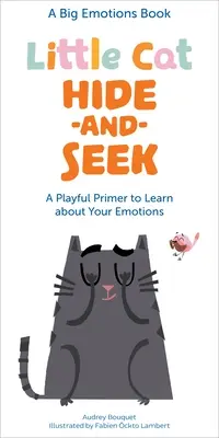 Las emociones del gatito: Un manual lúdico para conocer tus sentimientos - Little Cat Hide-And-Seek Emotions: A Playful Primer to Learn about Your Feelings