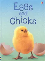 Huevos y pollitos - Eggs and Chicks