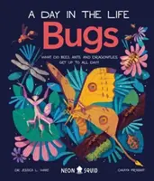 Bichos (un día en la vida): ¿Qué hacen las abejas, las hormigas y las libélulas todo el día? - Bugs (A Day in the Life) - What Do Bees, Ants, and Dragonflies Get up to All Day?