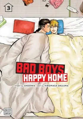 Bad Boys, Happy Home, Vol. 3: Volumen 3 - Bad Boys, Happy Home, Vol. 3: Volume 3