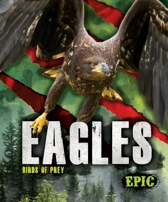 Águilas - Eagles