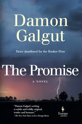 La promesa: una novela (ganadora del Premio Booker) - The Promise: A Novel (Booker Prize Winner)