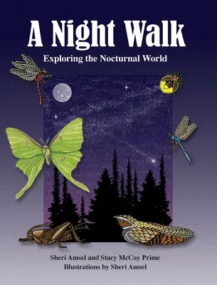 Un paseo nocturno: Explorando el mundo nocturno - A Night Walk: Exploring the Nocturnal World