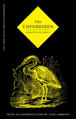 Lo imprevisto - The Unforeseen