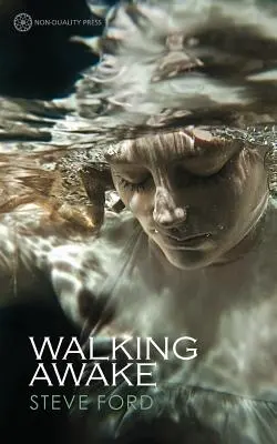 Caminar despierto - Walking Awake