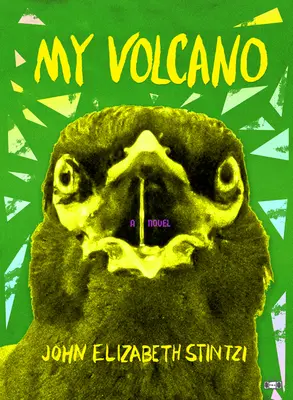 Mi volcán - My Volcano