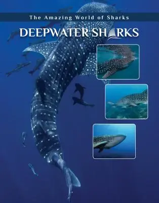 Tiburones de aguas profundas - Deepwater Sharks