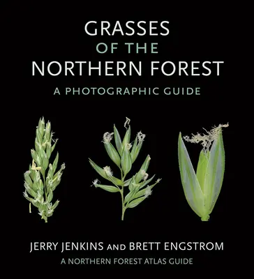 Las gramíneas del bosque septentrional: Guía fotográfica - Grasses of the Northern Forest: A Photographic Guide