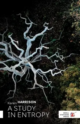 Un estudio sobre la entropía - A Study in Entropy