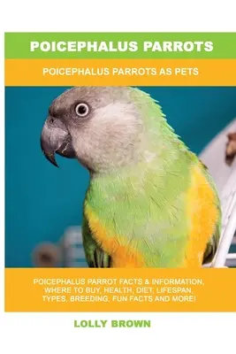 Loros Poicephalus: Loros Poicephalus como Mascotas - Poicephalus Parrots: Poicephalus Parrots As Pets