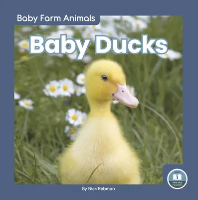 Patos bebé - Baby Ducks