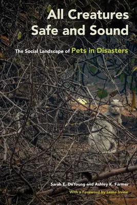 Todas las criaturas sanas y salvas: El paisaje social de los animales de compañía en las catástrofes - All Creatures Safe and Sound: The Social Landscape of Pets in Disasters