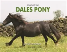 El espíritu del poni de Dales - Spirit of the Dales Pony