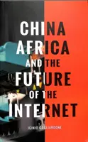 China, África y el futuro de Internet - China, Africa, and the Future of the Internet