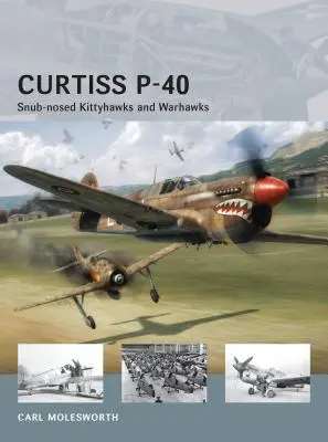 Curtiss P-40: Snub-Nosed Kittyhawks y Warhawks - Curtiss P-40: Snub-Nosed Kittyhawks and Warhawks