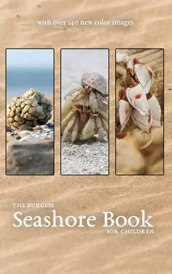 The Burgess Seashore Book con nuevas imágenes en color - The Burgess Seashore Book with new color images