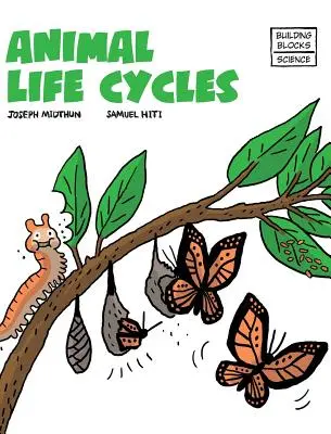 Ciclos de vida de los animales - Animal Life Cycles