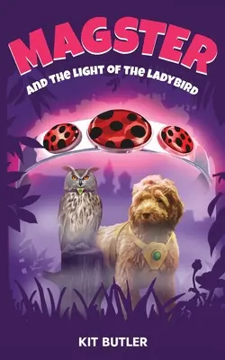 Magster y la luz de la mariquita - Magster and the Light of the Ladybird