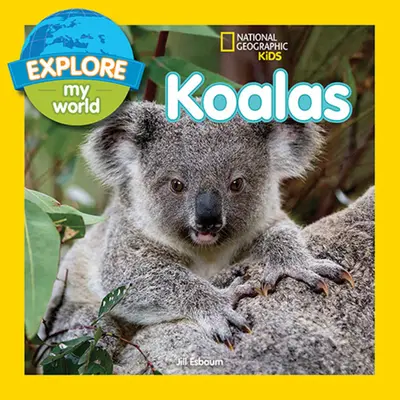 Explora mi mundo Koalas - Explore My World Koalas