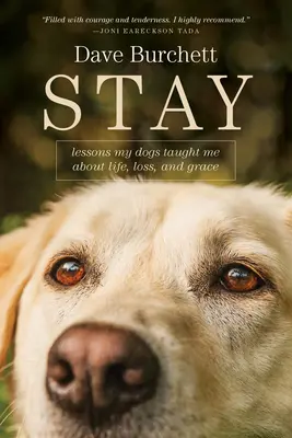 Quedarse: Lecciones que me enseñaron mis perros sobre la vida, la pérdida y la gracia - Stay: Lessons My Dogs Taught Me about Life, Loss, and Grace