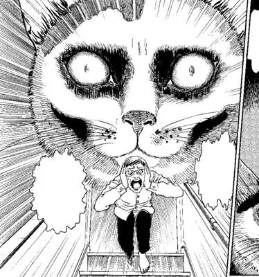 Diario del gato de Junji Ito: Yon & Mu Edición Coleccionista - Junji Ito's Cat Diary: Yon & Mu Collector's Edition