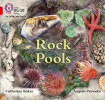 Rock Pools - Banda 02b/Rojo B - Rock Pools - Band 02b/Red B