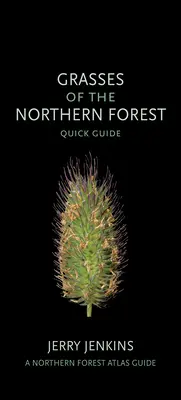 Gramíneas del Bosque Septentrional: Guía rápida - Grasses of the Northern Forest: Quick Guide