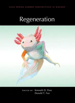Regeneración - Regeneration
