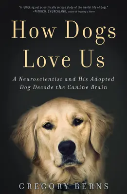 Cómo nos quieren los perros: un neurocientífico y su perro adoptado descifran el cerebro canino - How Dogs Love Us: A Neuroscientist and His Adopted Dog Decode the Canine Brain