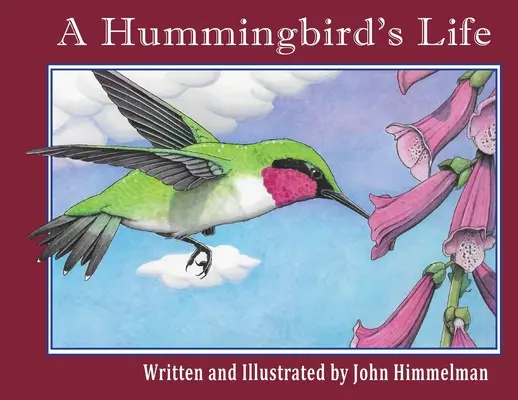 La vida de un colibrí - A Hummingbird's Life